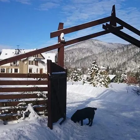 Guest house 